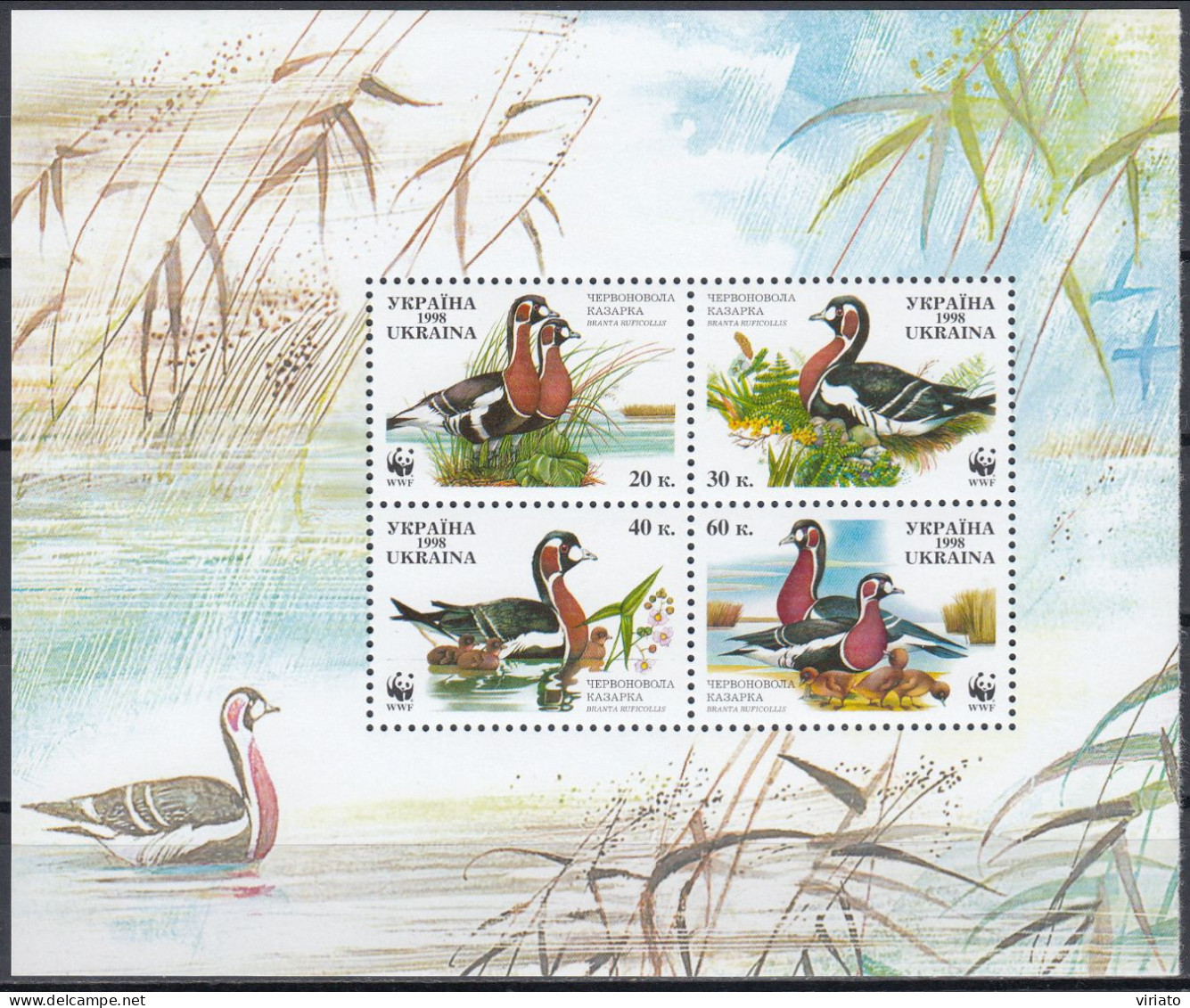 AVE092 - Ukraine 1998 (MNH) (Mi 292-295) - Red-breasted Goose (Branta Ruficollis) - Collections, Lots & Series