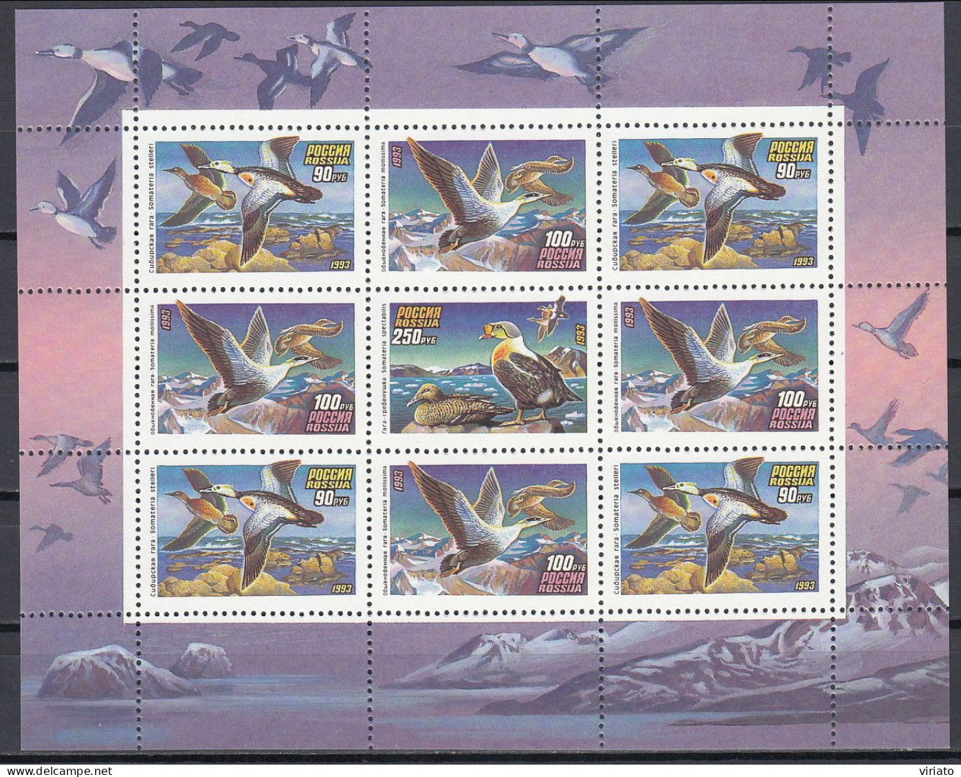 AVE060 - Russia 1993  (MNH) (Mi 322-324KB) - Polysticta Stelleri..Somateria Spectabilis - Konvolute & Serien