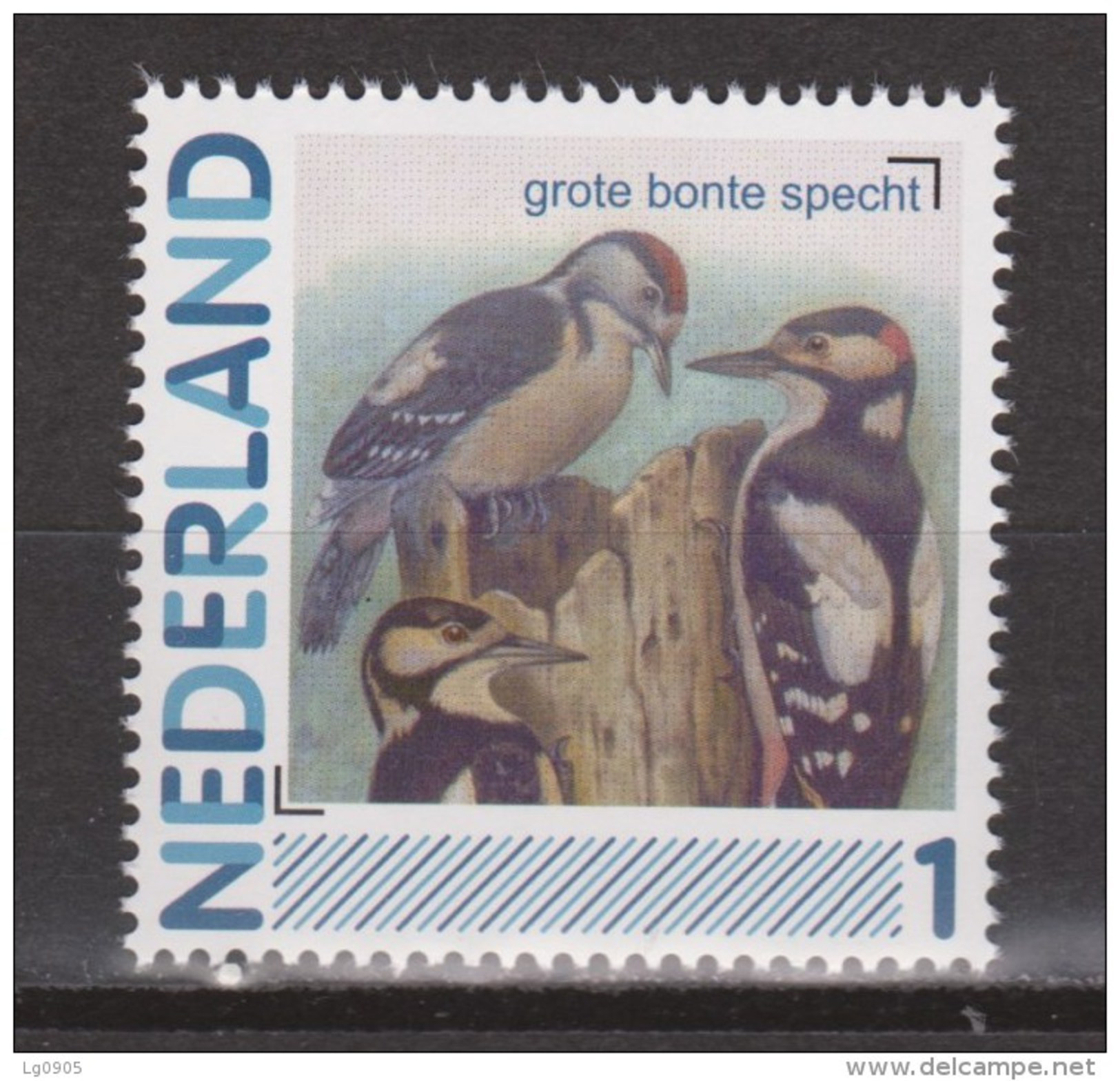 NVPH Netherlands Nederland Niederlande Pays Bas Holanda MNH; Grote Bonte Specht Pic Pico Woodpecker Vogel Bird Ave Oisea - Pics & Grimpeurs