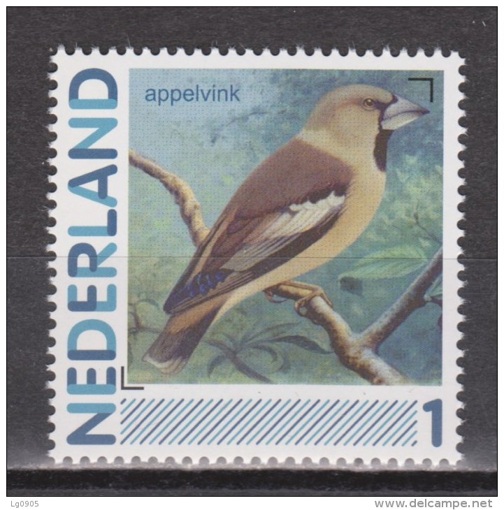 Netherlands Nederland Holanda Pays Bas MNH Appelvink Hawfinch Gros Bec Cassenoyeaux Pirogordo Vogel Bird Ave Oiseau - Mussen