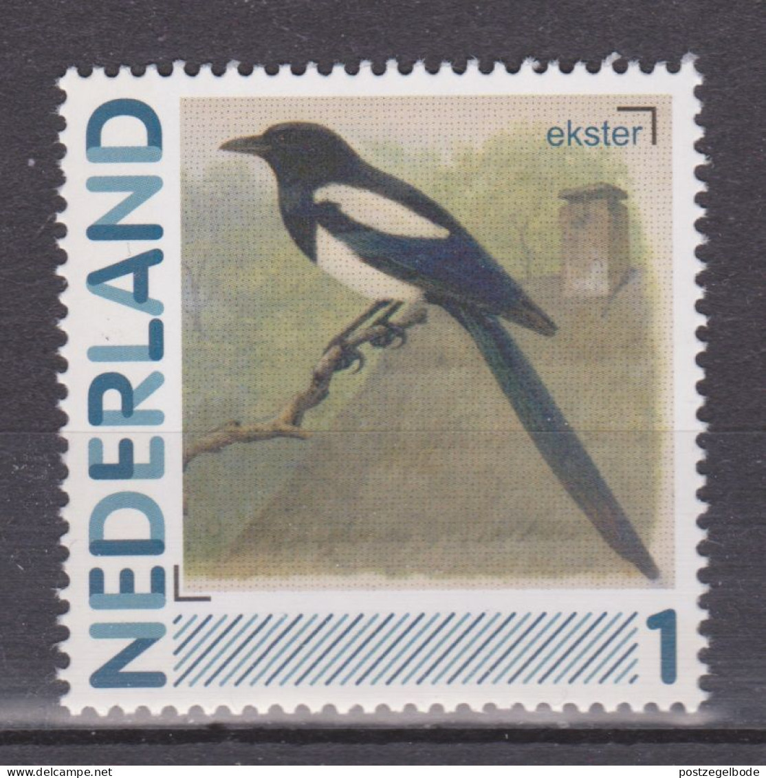 Netherlands Nederland Pays Bas Holanda Niederlande MNH ; Vogel Oiseau Ave Bird Ekster Magpie Urraca Pie - Coucous, Touracos