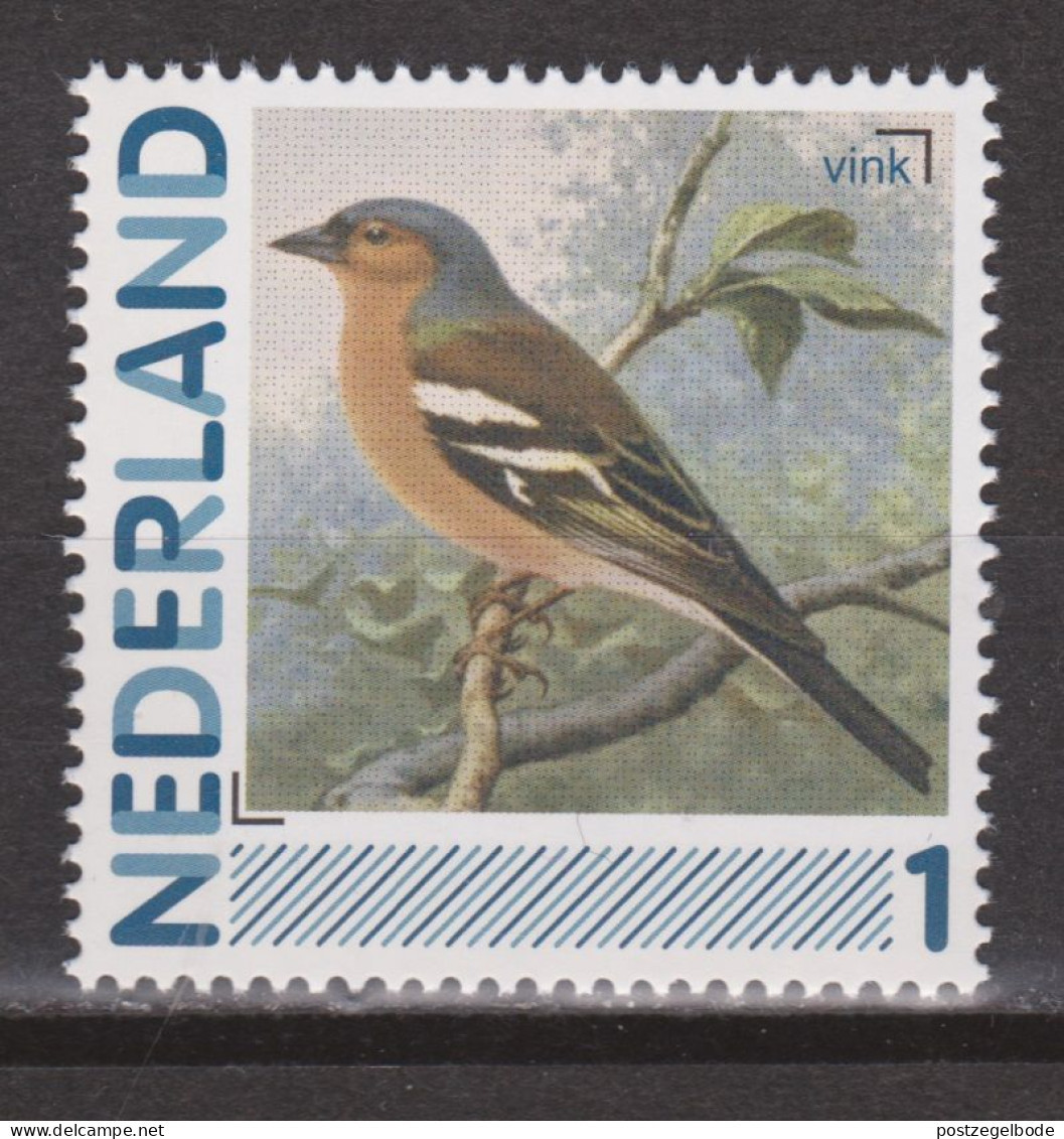 Nederland Netherlands Pays Bas Holanda Niederlande MNH : Vink Finch Pinson Pinzon Vogel Bird Ave Oiseau - Passeri