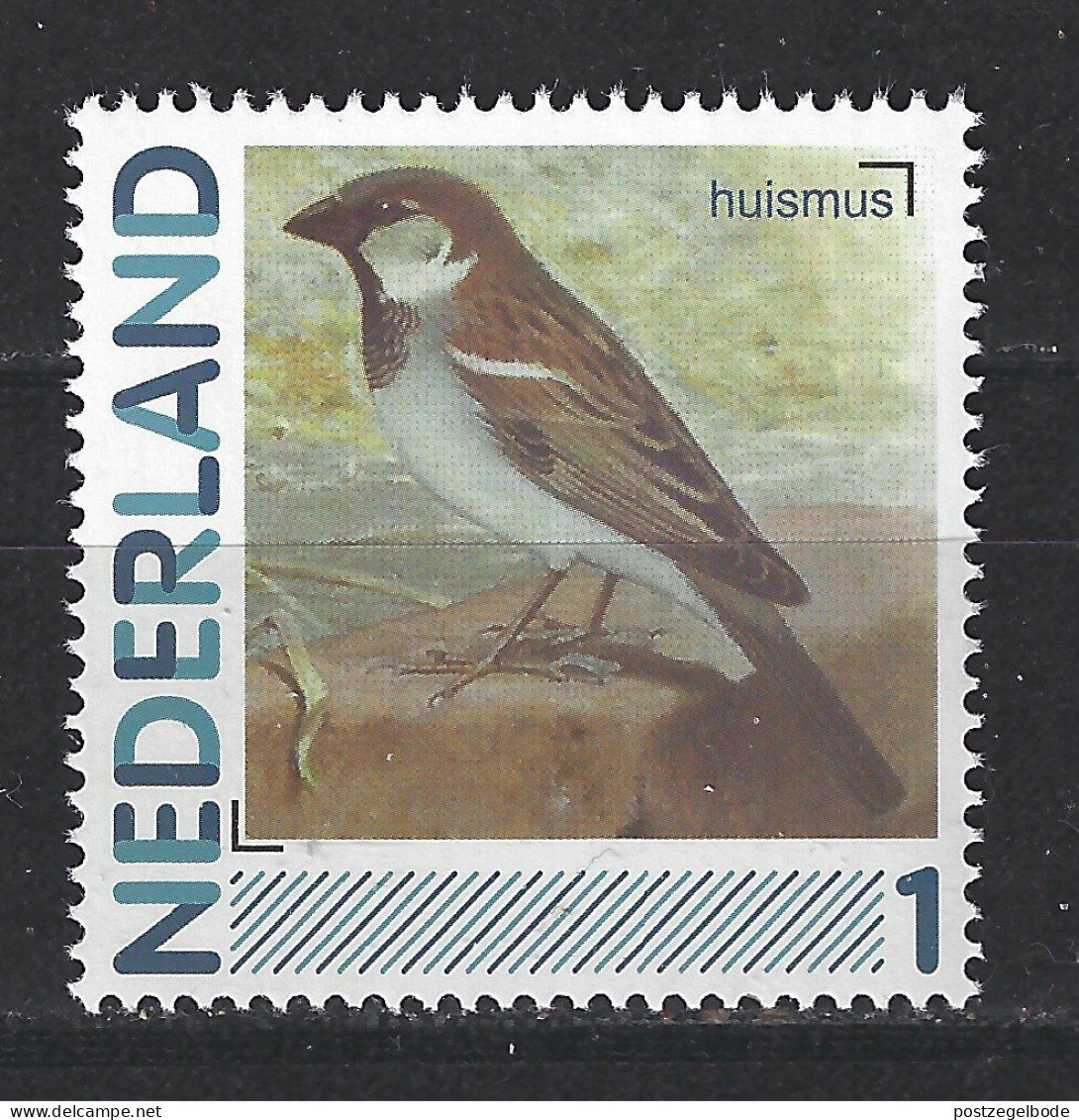 Nederland Netherlands Pays Bas Holanda Niederlande MNH ; Mus Moineau Sparrow Schwanz Huismus Vogel Bird Ave Oiseau - Spatzen