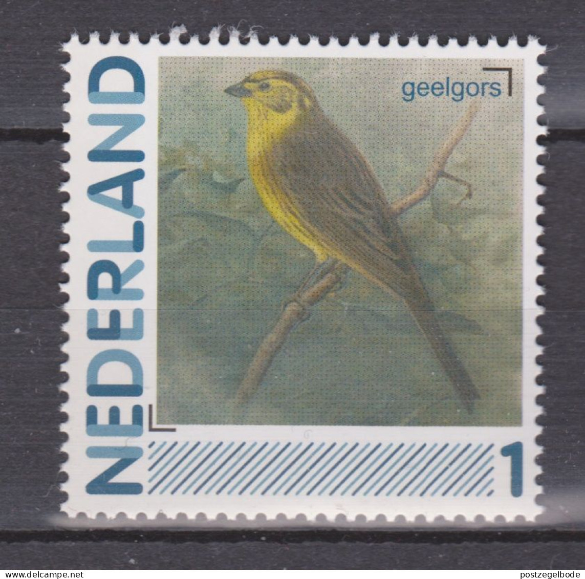 Nederland Netherlands Pays Bas Holanda MNH Geelgors Yellowhammer Bruant Jaune Escribano Cerillo Vogel Bird Ave Oiseau - Spatzen