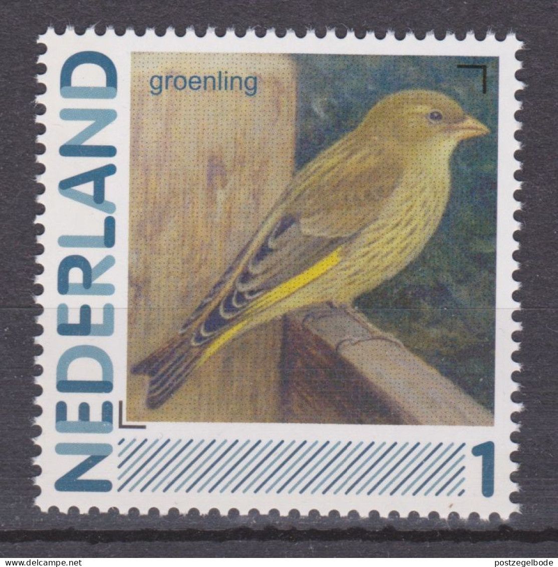 Nederland Netherlands Pays Bas Holanda MNH Groenling Greenfinch Verdier Verderon Comun Vogel Bird Ave Oiseau - Sparrows