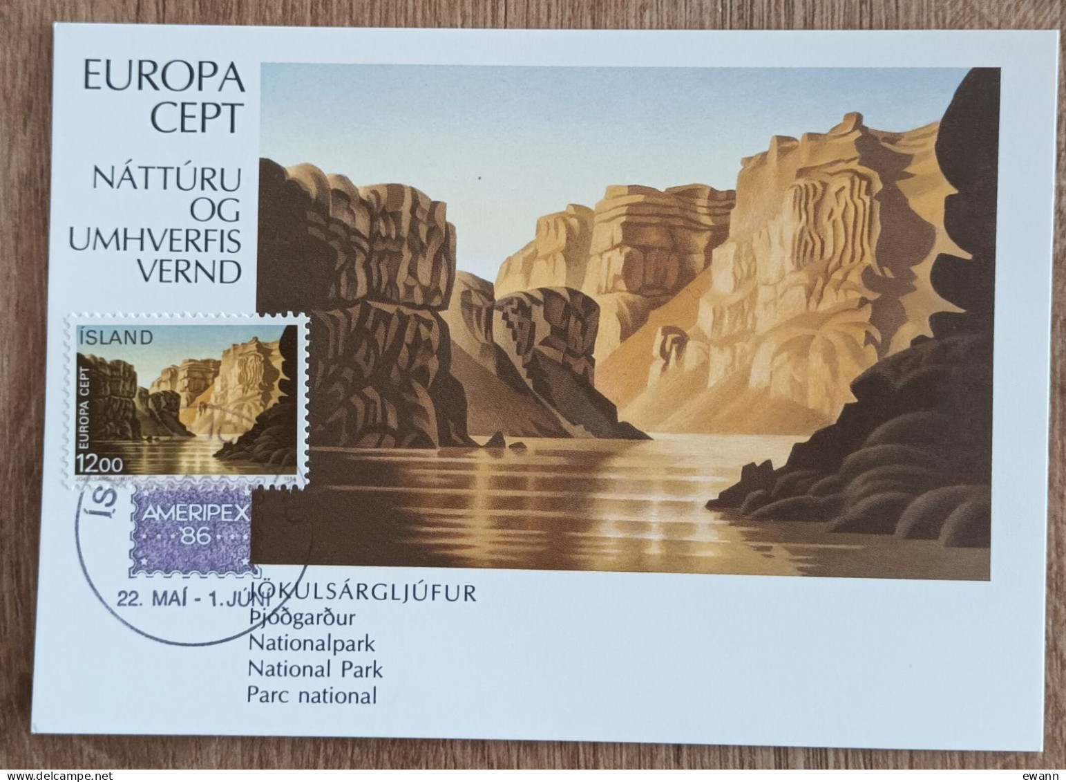 Islande - CM 1986 - YT N°602 - EUROPA / Protection De La Nature Et De L'environnement / Parc National De Jökulsargljufur - Maximum Cards