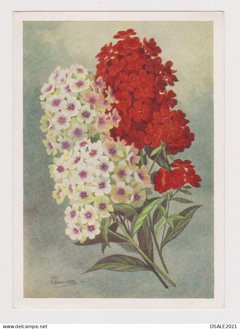 Russia USSR Soviet Union 1957 Postal Stationer Card PSC, Entier, Ganzachen, Flowers By I. Romanov (62780) - 1950-59