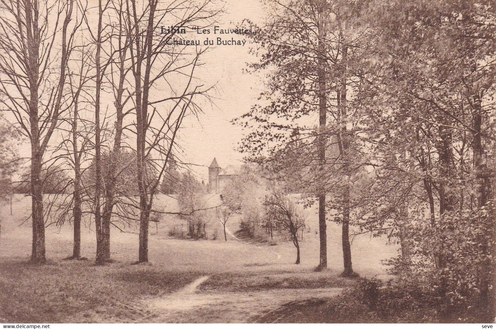 LIBIN Les Fauvettes Château Du Buchay Carte Postée Vers Beauraing En 1926 - Libin