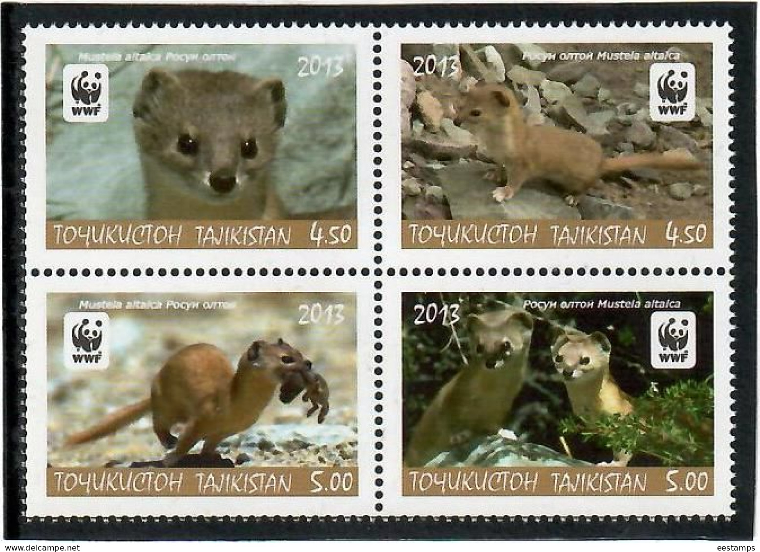 Tajikistan 2013 .  WWF, Altay Weasel. 4v. Michel # 617-620 - Tayikistán