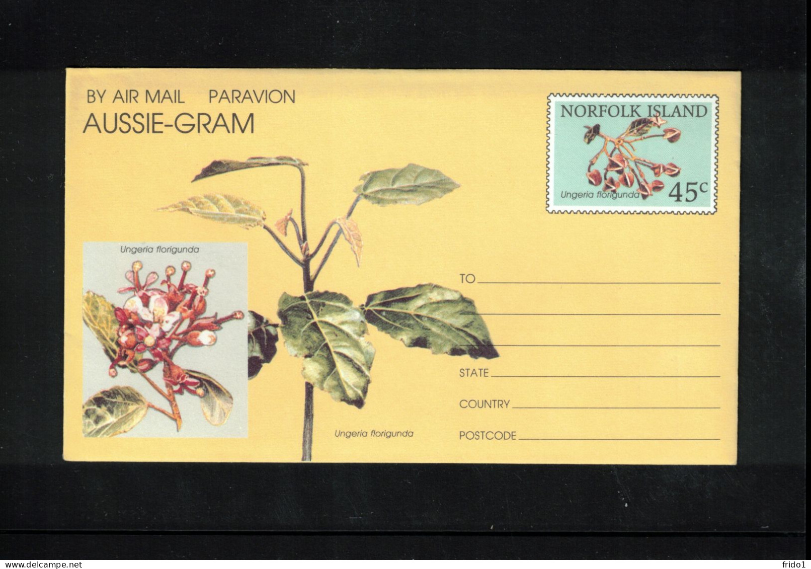 Norfolk Island 1994 Plant Ungeria Florigunda Interesting Aerogramme - Norfolk Island