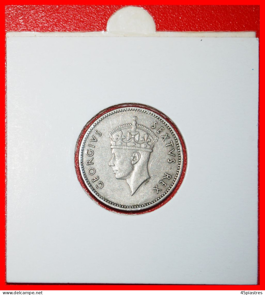 * GREAT BRITAIN (1948-1952): EAST AFRICA  50 CENTS 1948! George VI (1937-1952) IN HOLDER! · LOW START ·  NO RESERVE! - Colonia Británica