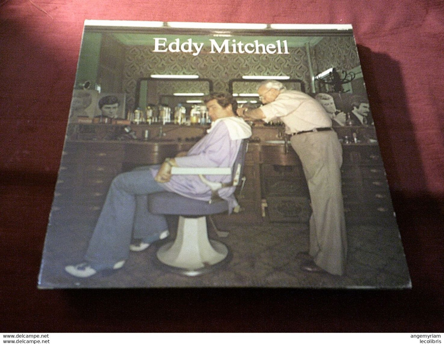 COLLECTION  DE 13  ALBUMS  33 TOURS  DE EDDY MITCHELL DANS  CLASSEUR