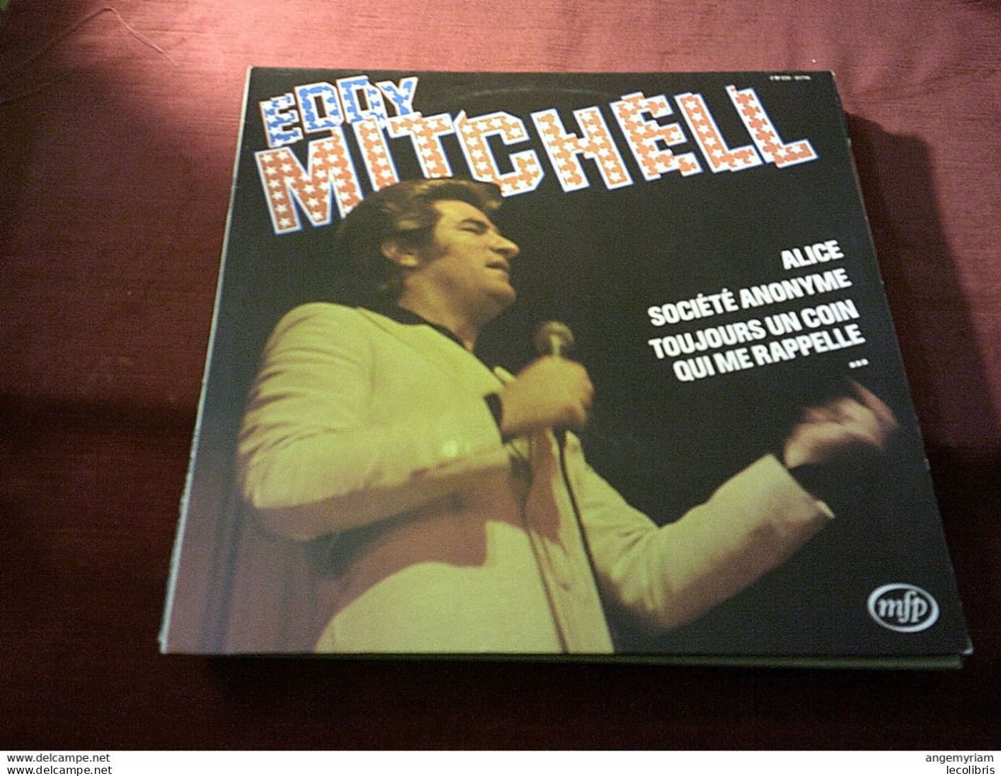 COLLECTION  DE 13  ALBUMS  33 TOURS  DE EDDY MITCHELL DANS  CLASSEUR