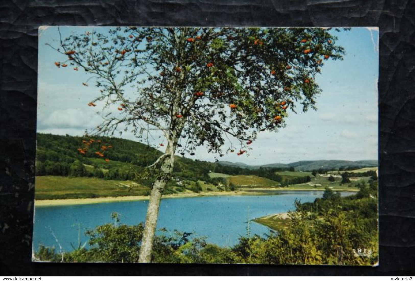 34 - Environs De LA SALVETAT : Le Lac De LA RAVIEGE - La Salvetat