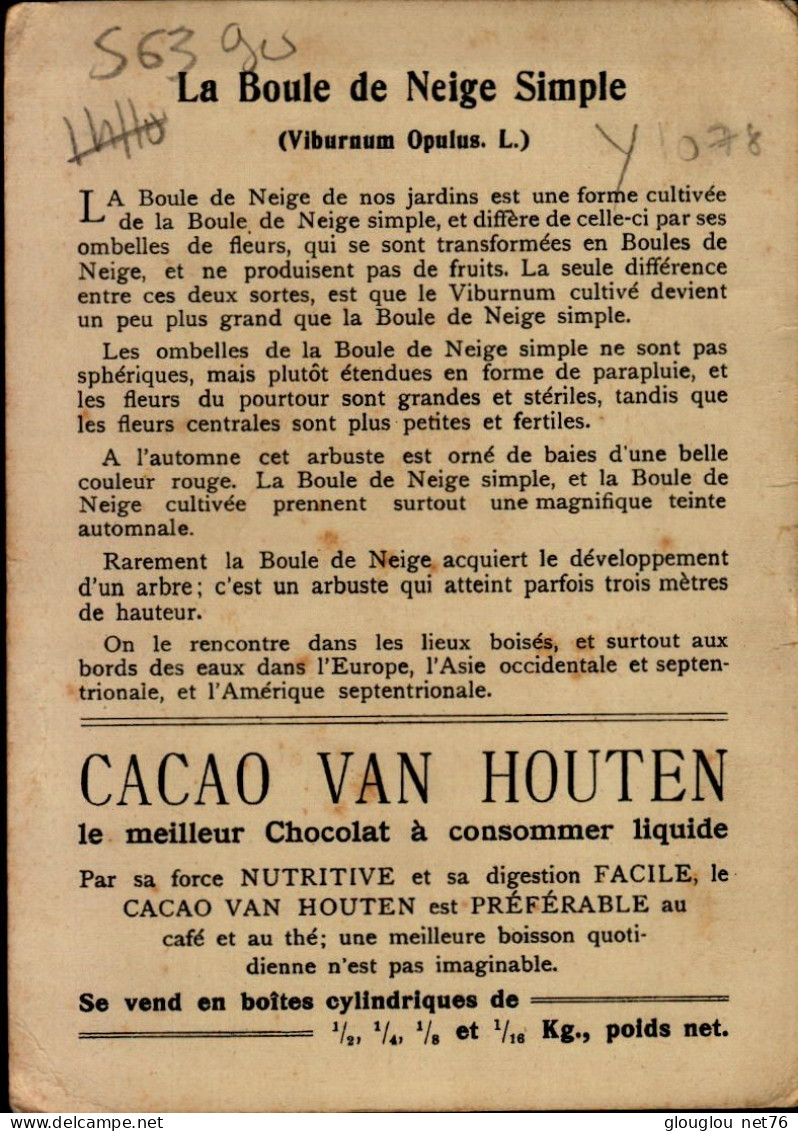 CHROMO....CACAO VAN HOUTEN...LA BOULE DE NOEIL SIMPLE  (RAMEAU FLEURI) - Van Houten