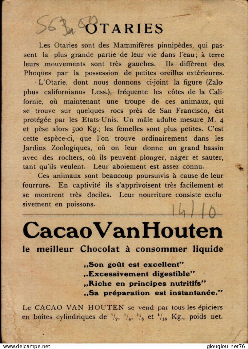 CHROMO....CACAO VAN HOUTEN...OTARIES - Van Houten