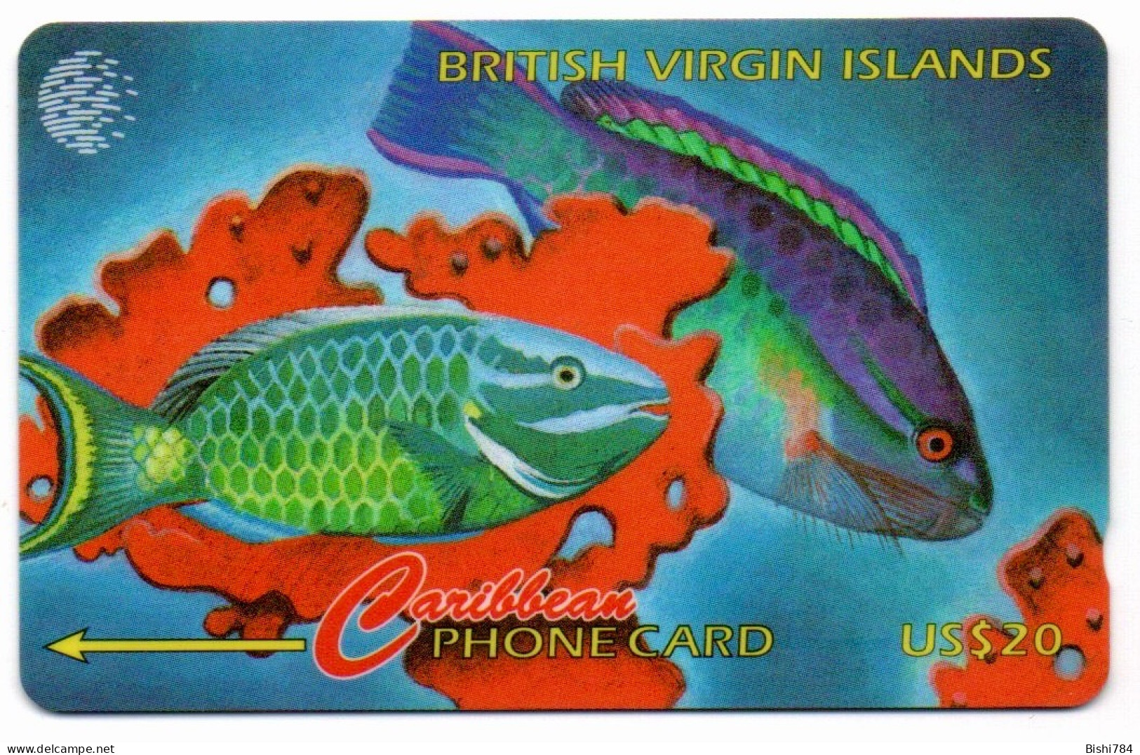 British Virgin Islands - Humming Bird - 91CBVC - Jungferninseln (Virgin I.)
