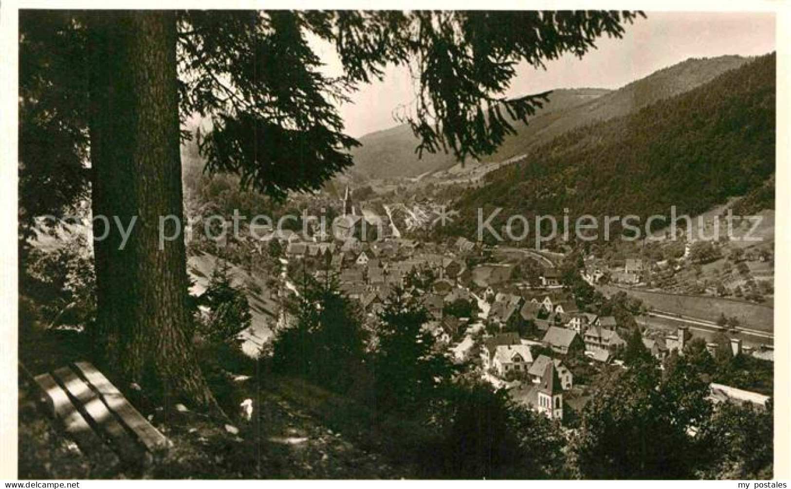 42832863 Schiltach Teilansicht  Schiltach Schwarzwald - Schiltach