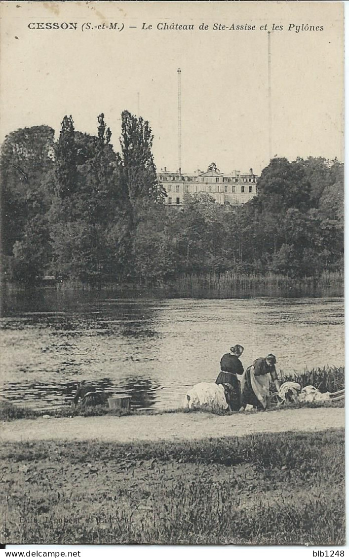 [77] Seine Et Marne > Cesson Le Chateau De Ste Assise Et Les Pylones Lavandieres - Cesson