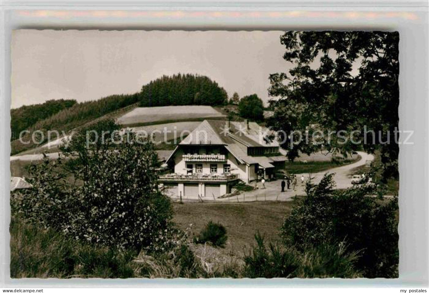 42827919 Oberprechtal Gasthof Pension Landwassereck Oberprechtal - Elzach