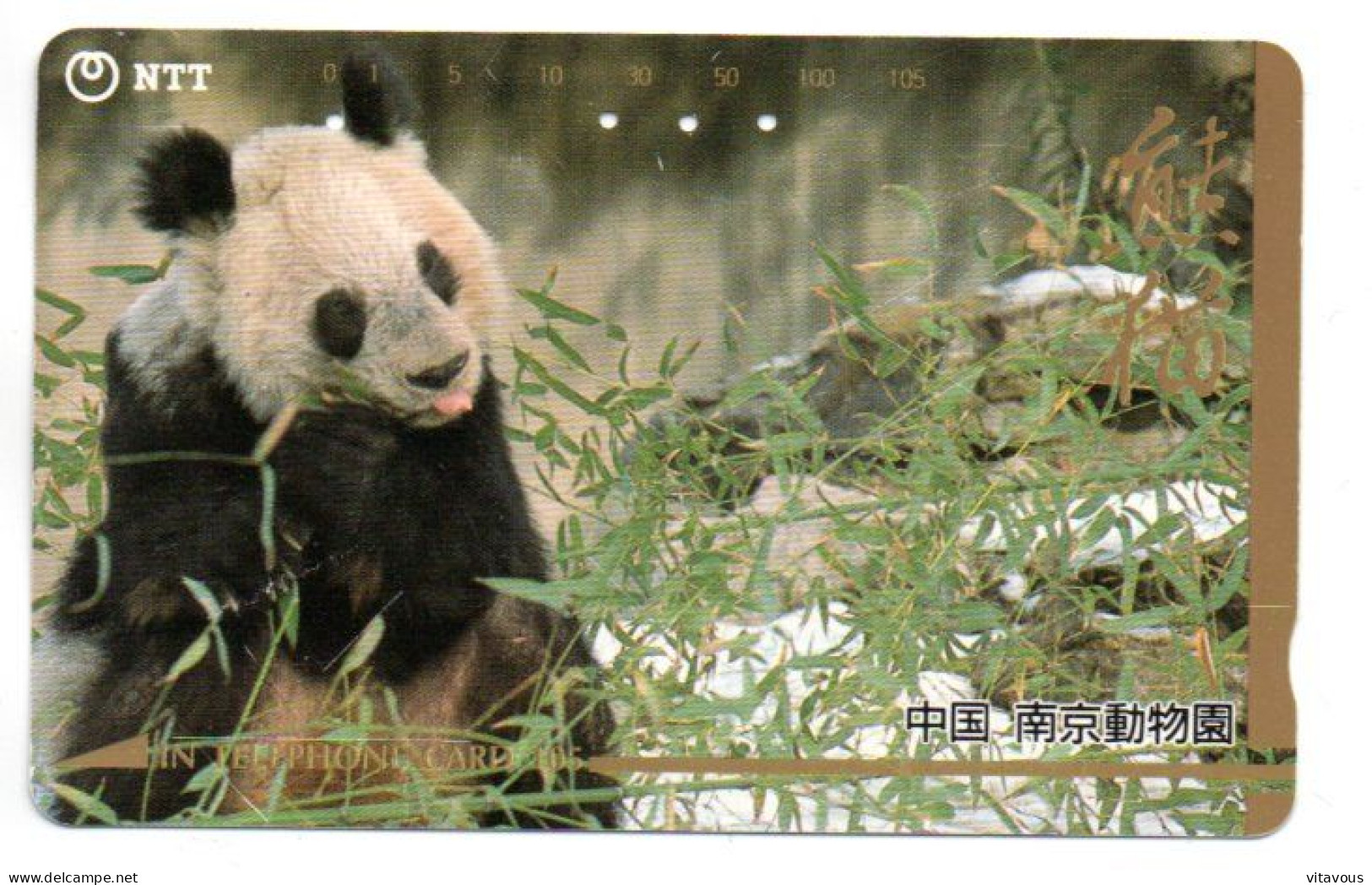 Panda Ours Bear Télécarte Phonacard Card Japon (F 393) - Giungla