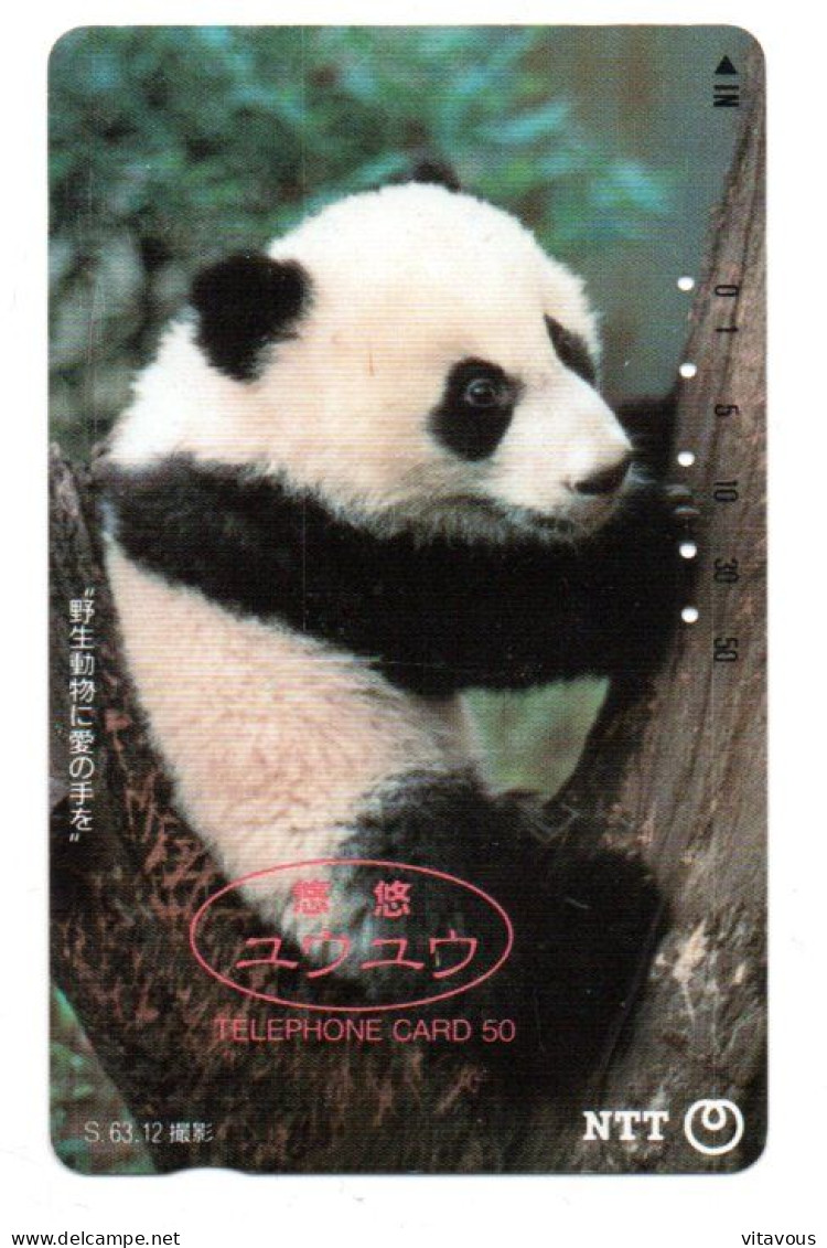 Panda Ours Bear Télécarte Phonacard Card Japon (F 403) - Jungle