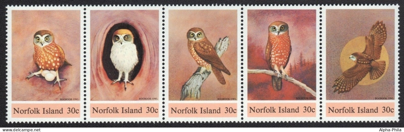 Norfolk-Insel 1984 - Mi-Nr. 339-343 ** - MNH - Eulen / Owls - Norfolk Island