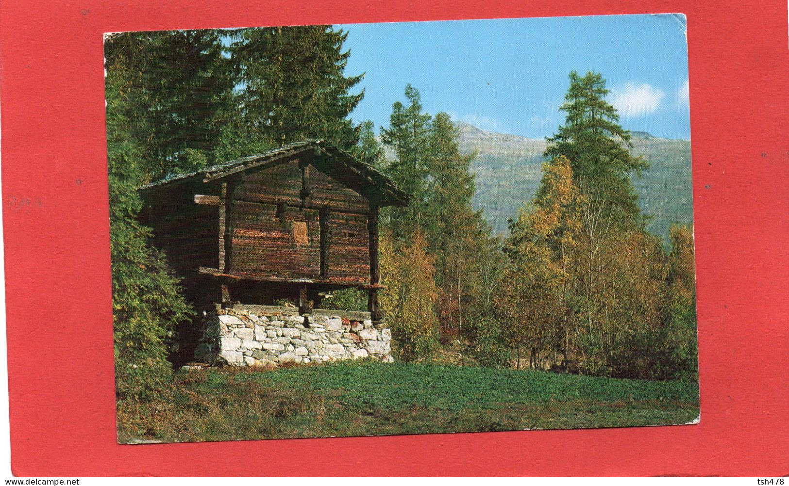 SUISSE----FERIENDORF FIESCH ---WALLIS-Mazot--Centre Des Vacances-voir 2 Scans - Fiesch