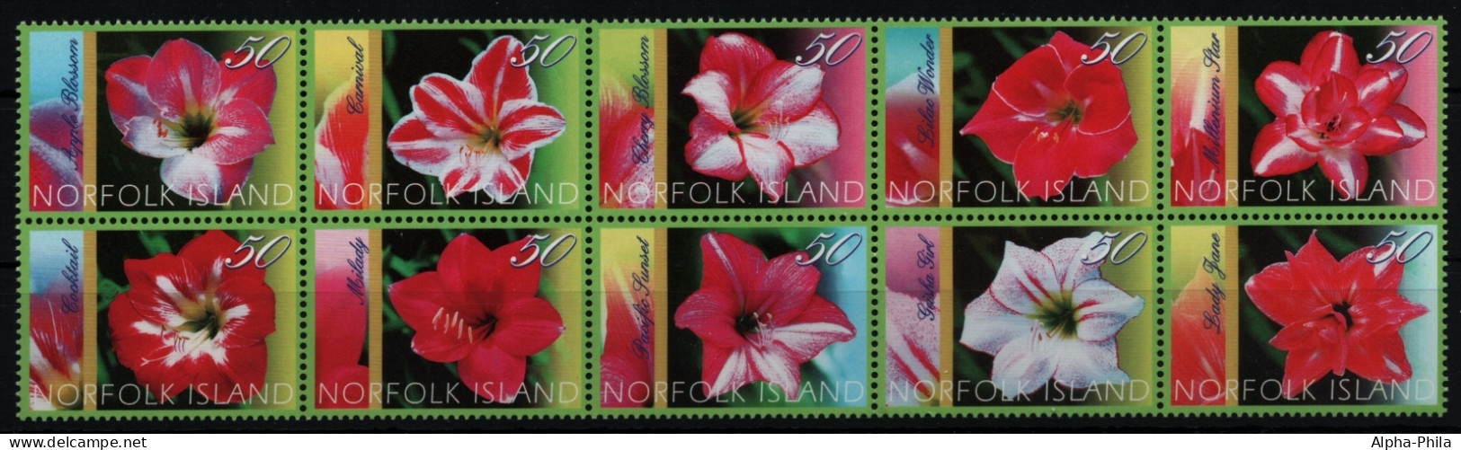 Norfolk-Insel 2004 - Mi-Nr. 874-883 ** - MNH - Blumen / Flowers - Norfolk Island