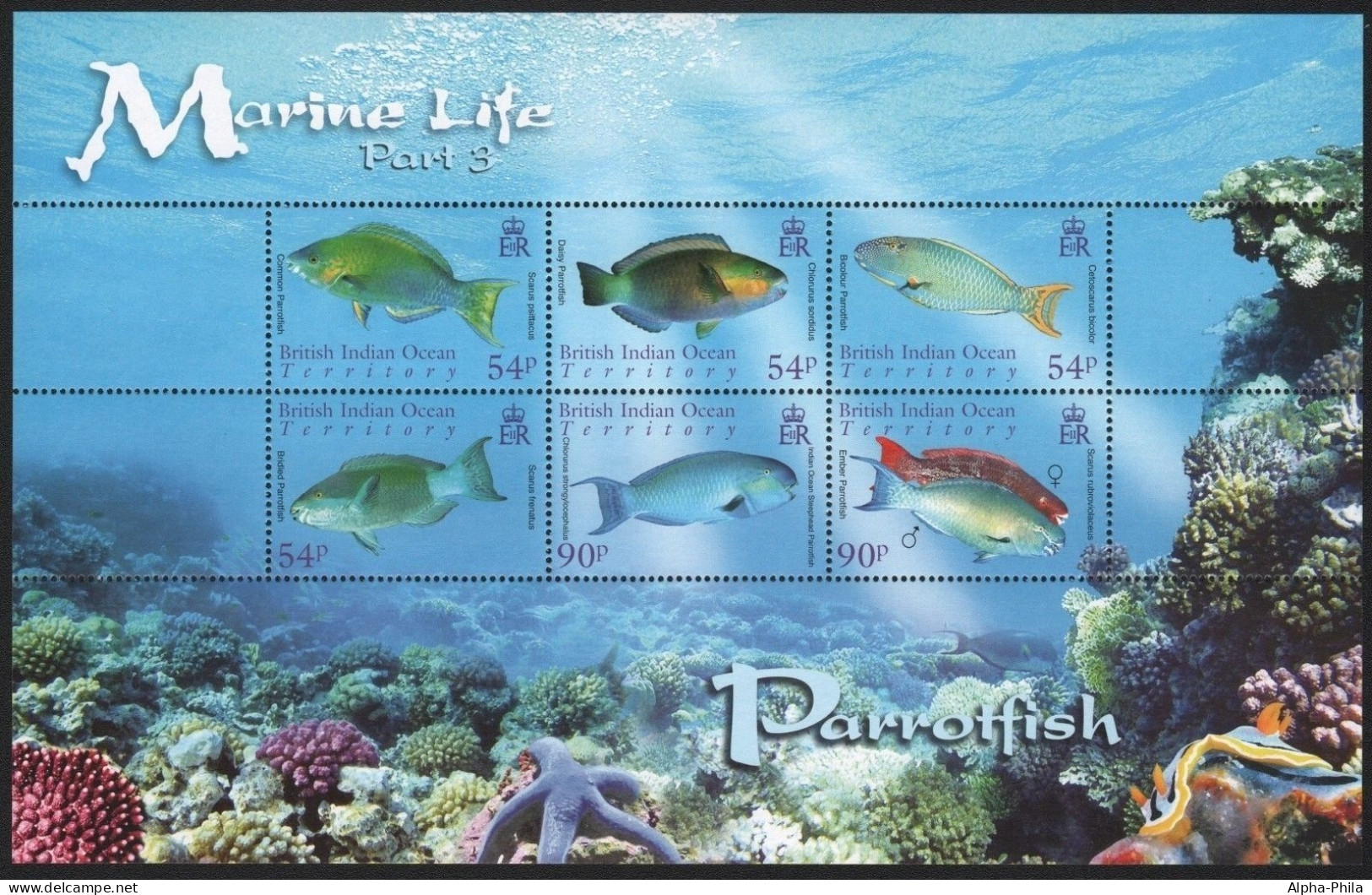 BIOT 2007 - Mi-Nr. 424-429 ** - MNH - Fische / Fish - Territorio Británico Del Océano Índico