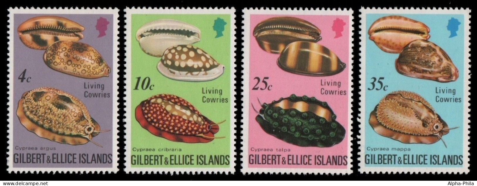 Gilbert Und Ellice 1975 - Mi-Nr. 236-239 ** - MNH - Meeresschnecken - Îles Gilbert Et Ellice (...-1979)
