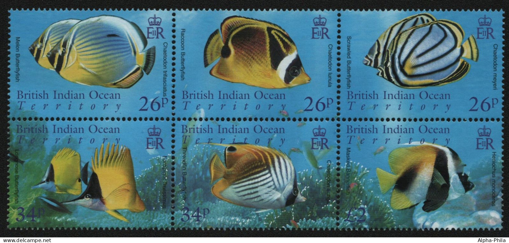 BIOT 2006 - Mi-Nr. 412-417 ** - MNH - Aus KLB - Fische / Fish - Territoire Britannique De L'Océan Indien