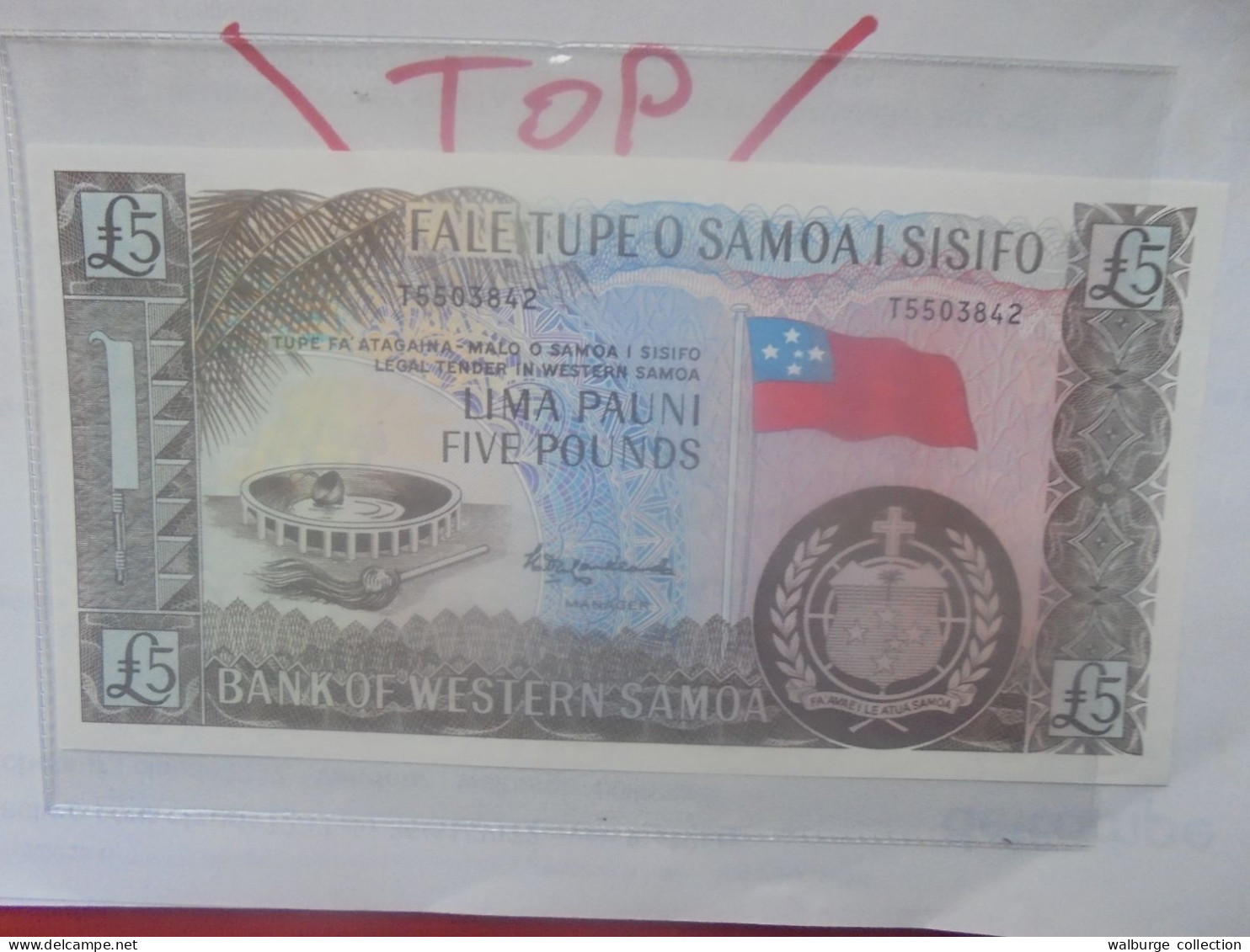 SAMOA (WESTERN) 5 POUNDS 1963 Neuf (B.31) - Samoa