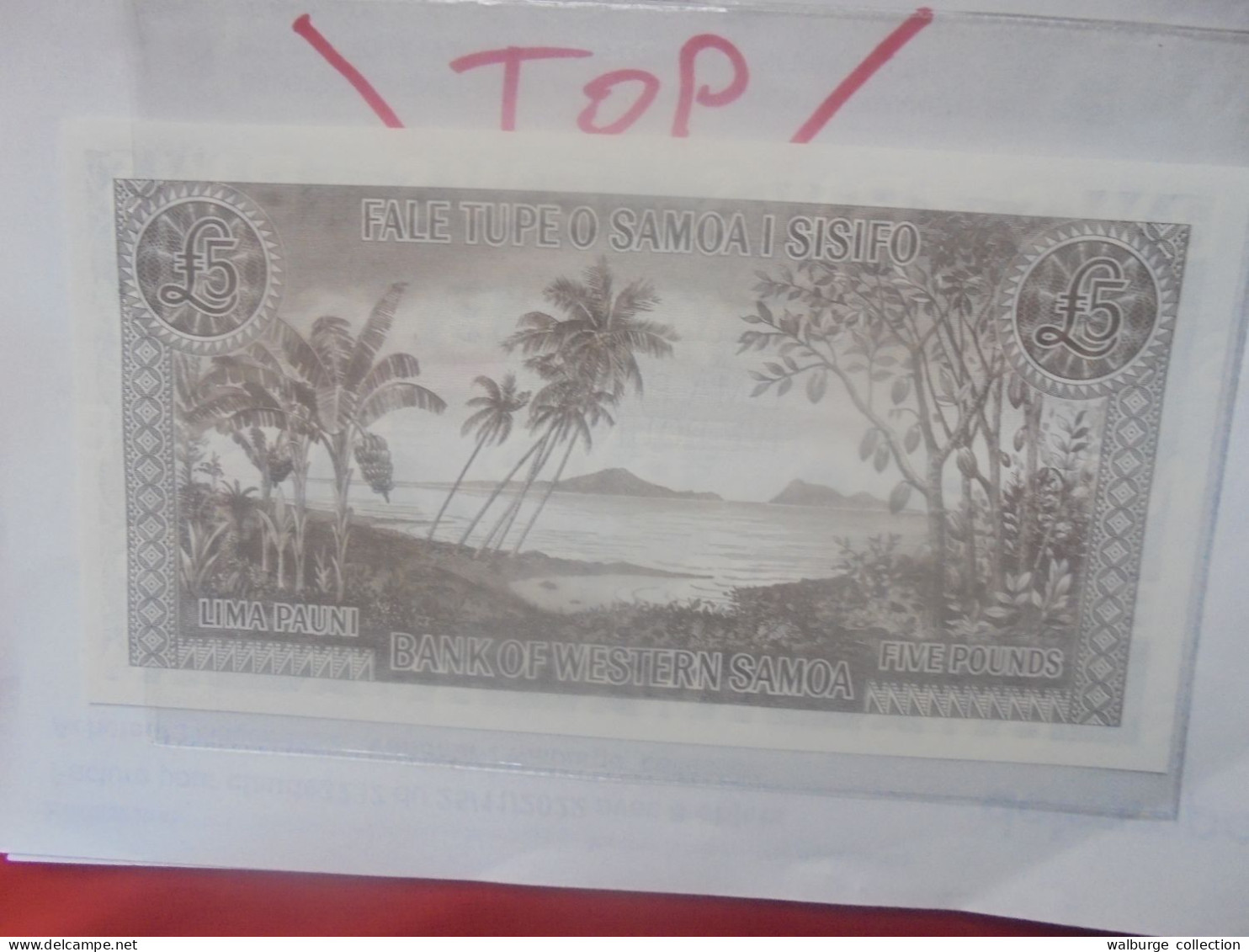 SAMOA (WESTERN) 5 POUNDS 1963 Neuf (B.31) - Samoa