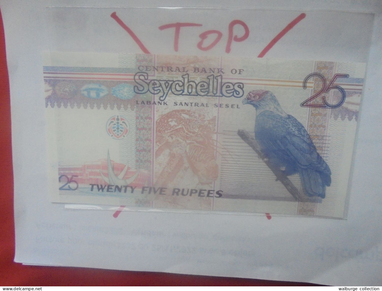 SEYCHELLES 25 Rupees 1998-2008 Neuf (B.31) - Seychelles