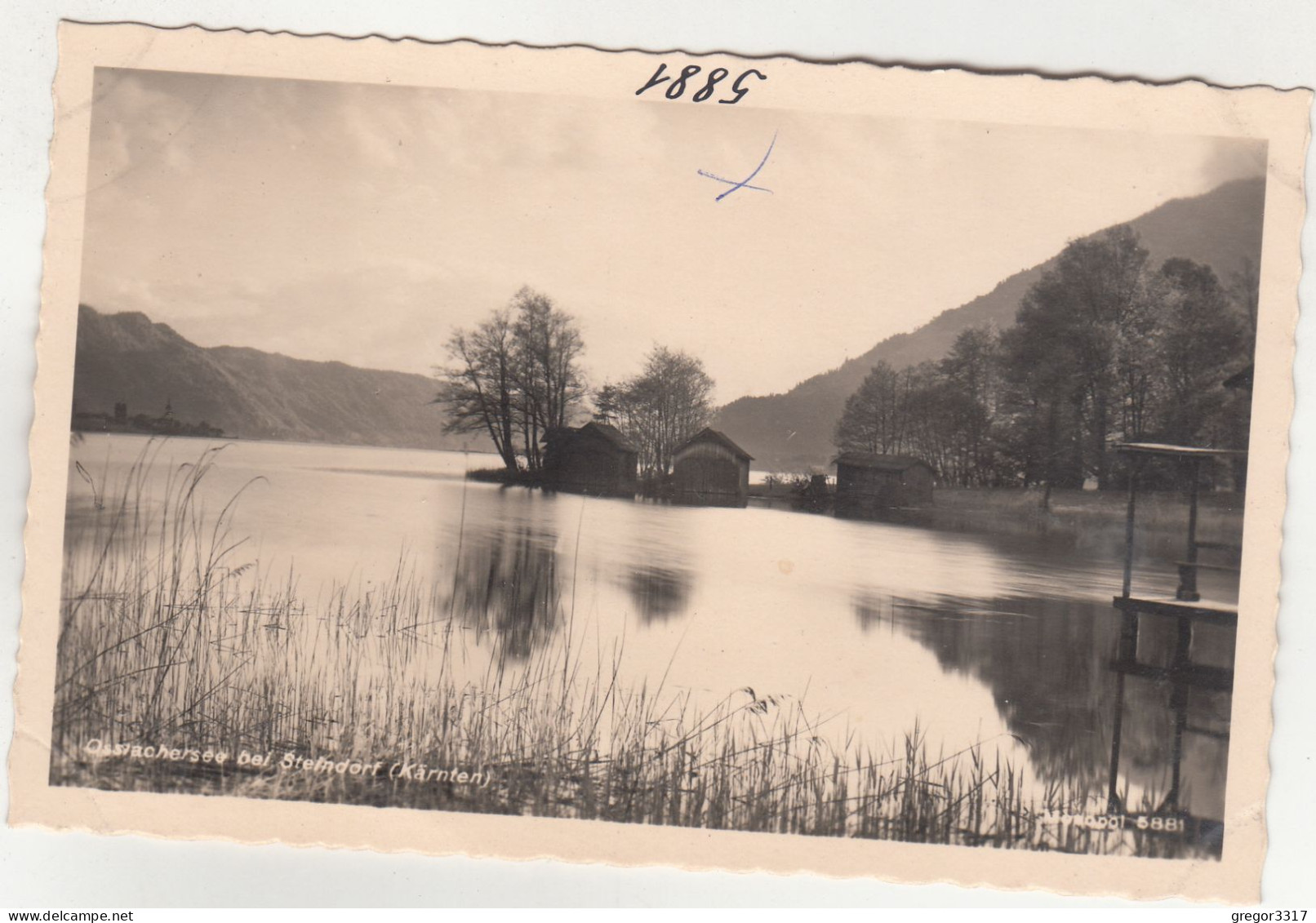 E266)  OSSIACHERSEE Bei STEINDORF - Bootshäuser Schilf  Berge  - Tolle Alte FOTO AK ! - Ossiachersee-Orte