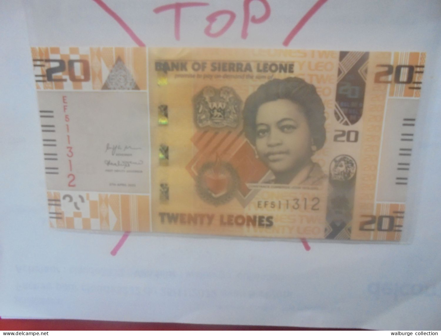 SIERRA LEONE 20 LEONES 2022 Neuf/Unc (B.31) - Sierra Leone