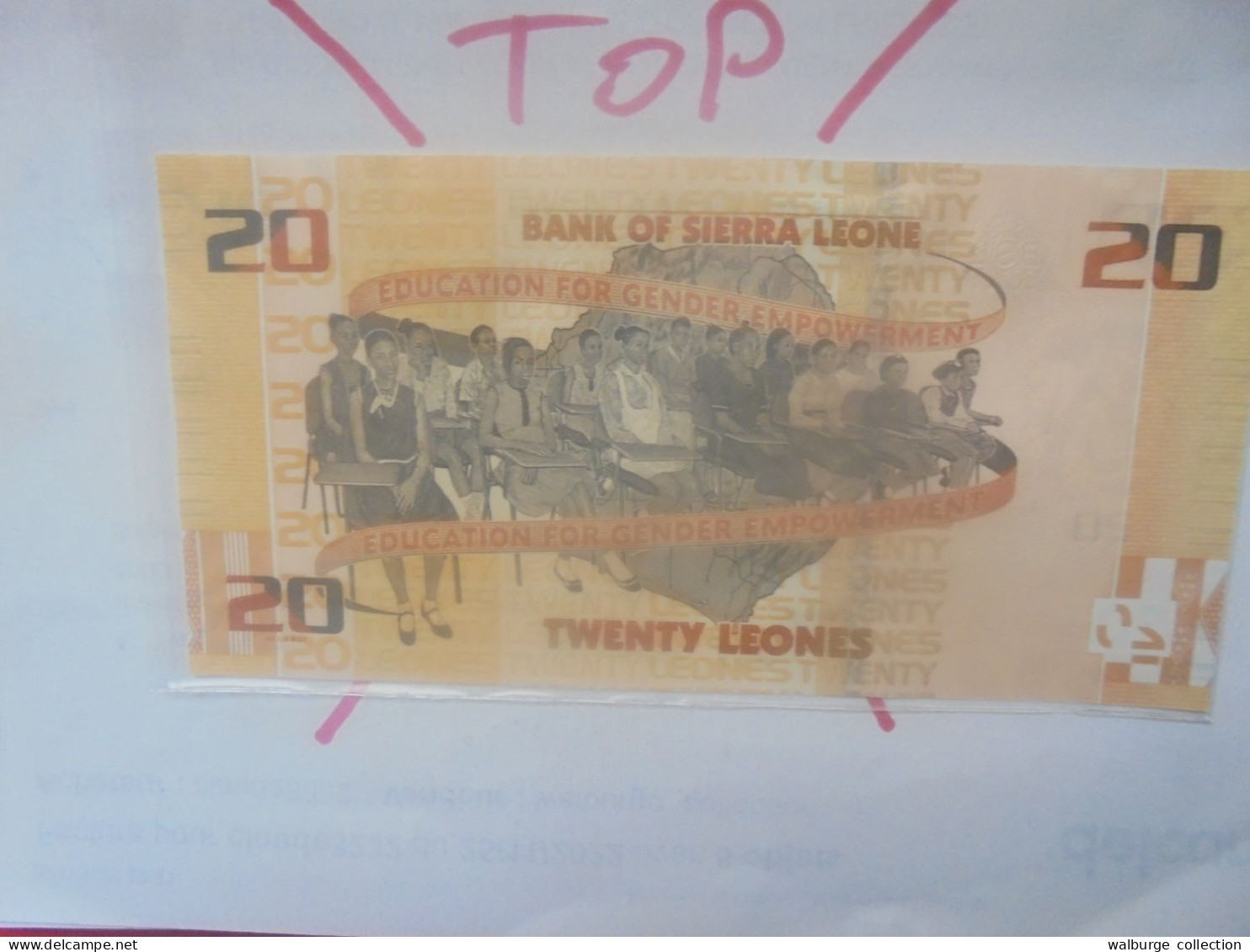 SIERRA LEONE 20 LEONES 2022 Neuf/Unc (B.31) - Sierra Leone