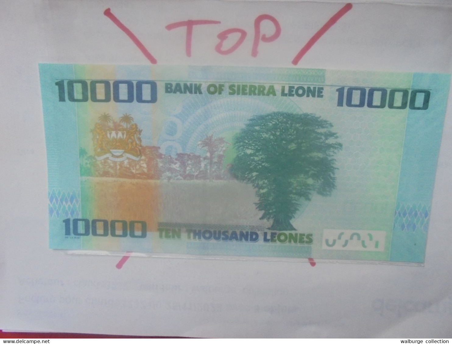 SIERRA LEONE 10.000 LEONES 2021 Neuf (B.31) - Sierra Leone