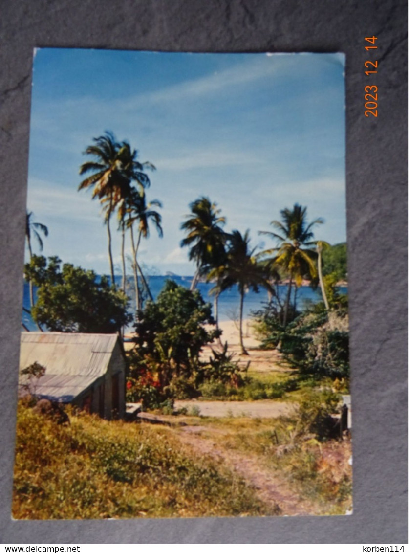 CARIBBEAN SHORE - Bahamas