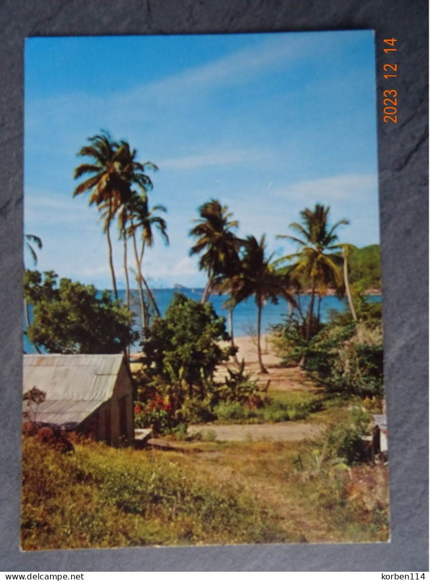 CARIBBEAN SHORE - Bahama's