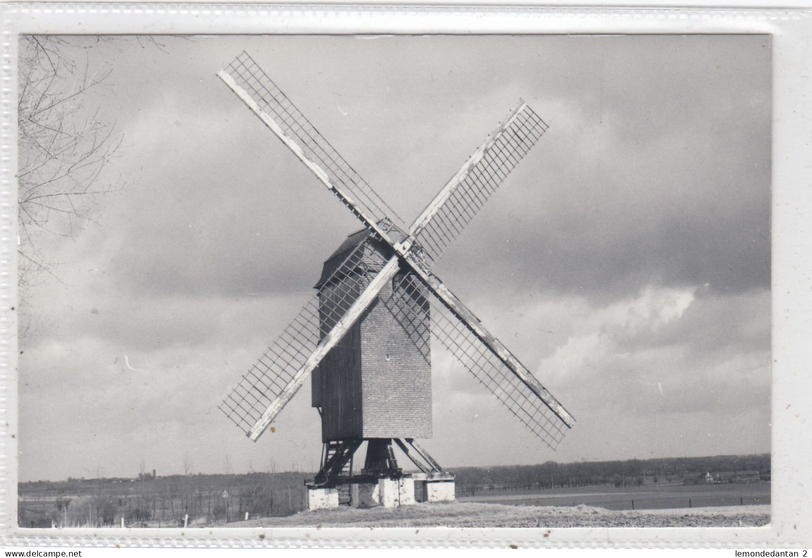 Tielt. Poelbergmolen. * - Tielt