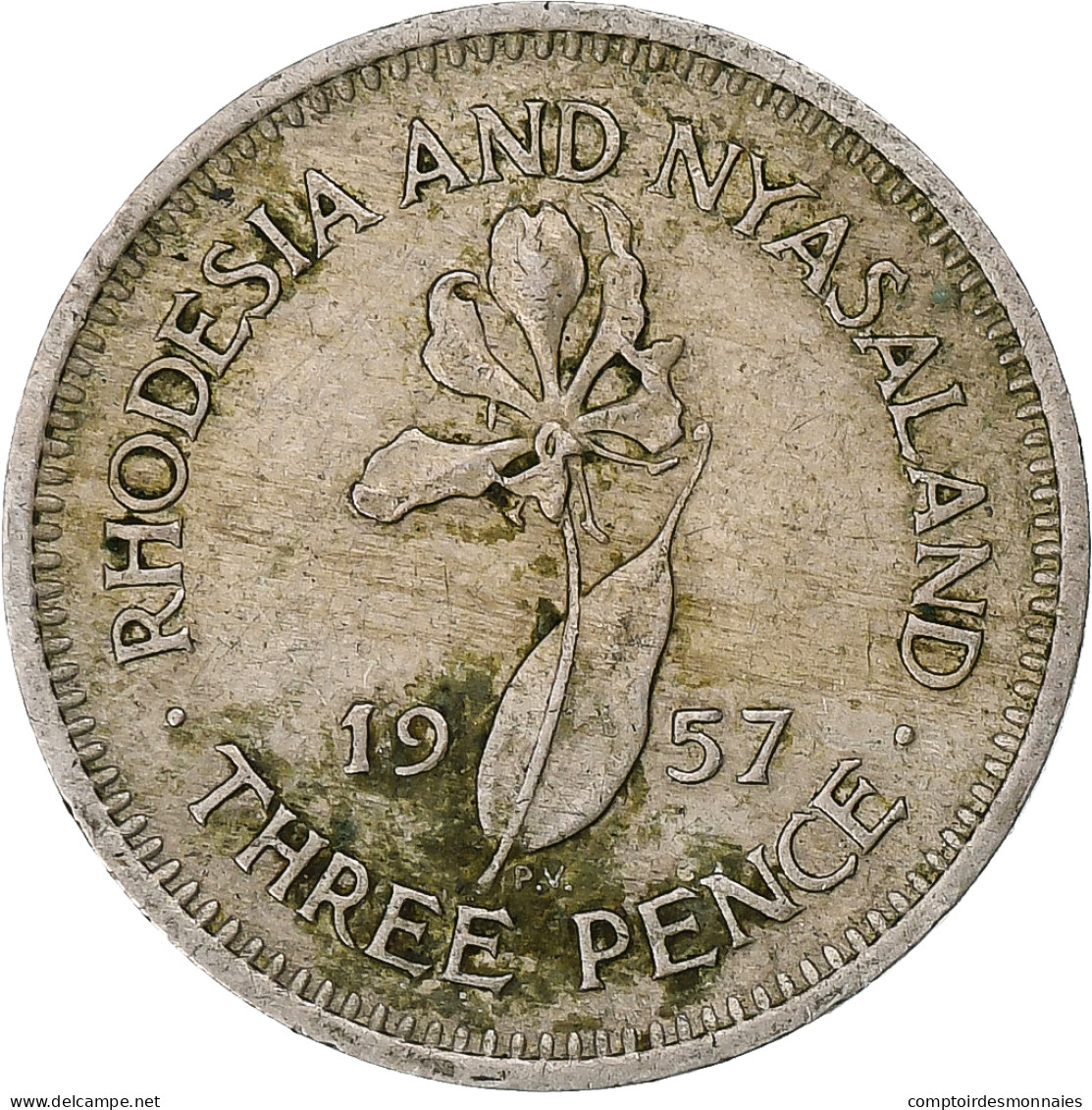 Monnaie, Fédération De Rhodésie Et Du Nyassaland, Elizabeth II, 3 Pence - Rhodesië