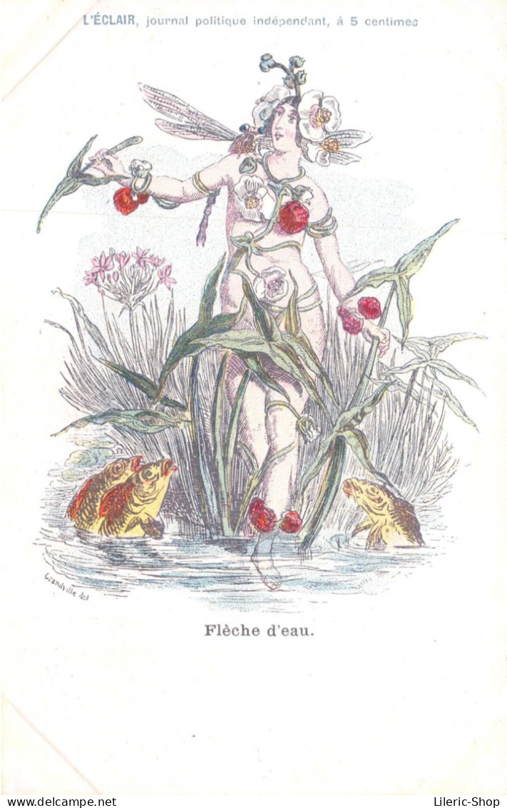 Publicité L'ECLAIR, Journal Politique - Fleur Humanisée - Femme - "Flèche D'eau" Signé Grandville  CPR - Werbepostkarten