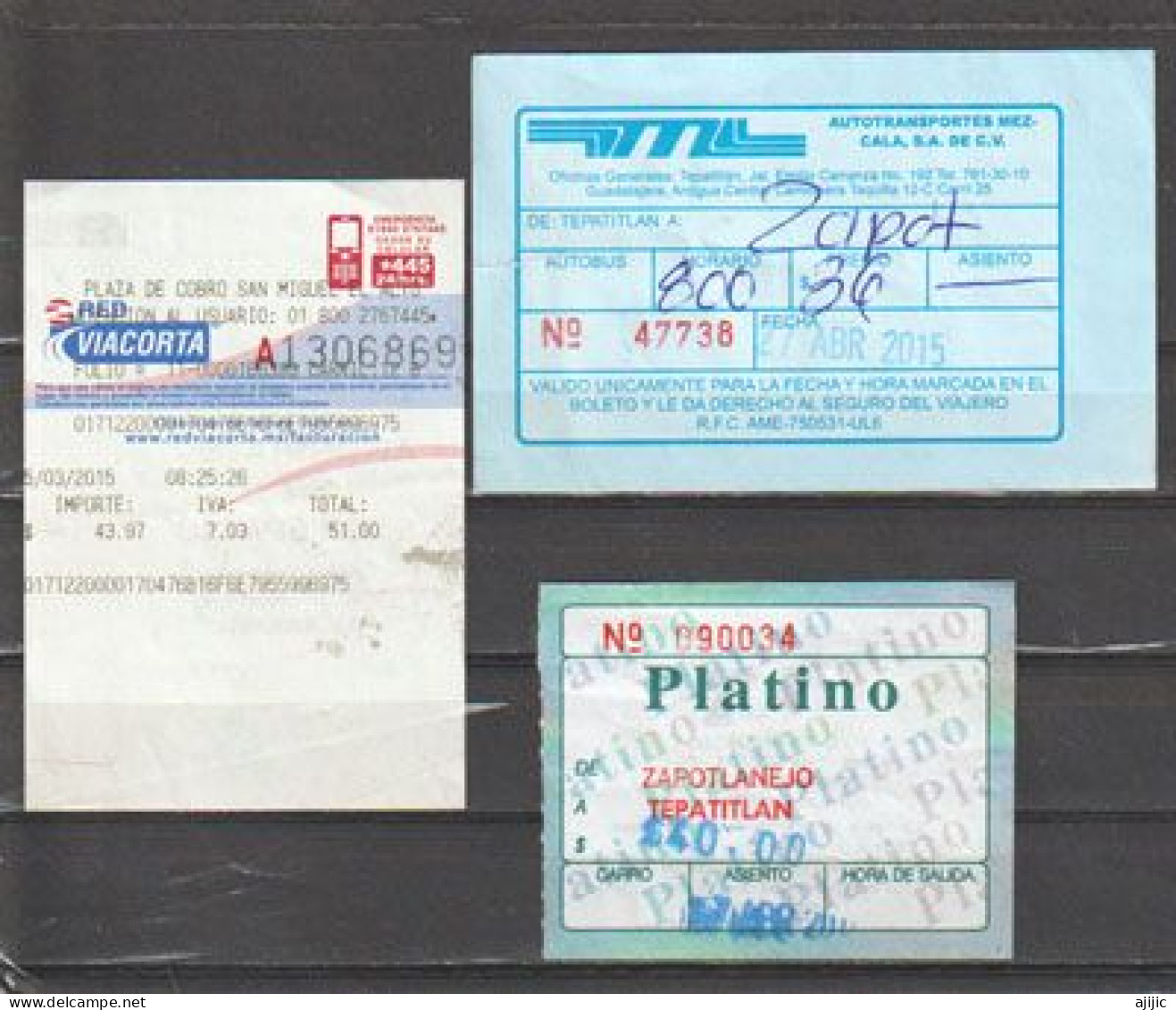 MEXIQUE. 3 Tickets De Bus Au Depart De San Miguel El Alto (Estado De Jalisco) Vers Tepatitlan (JALISCO) - Welt