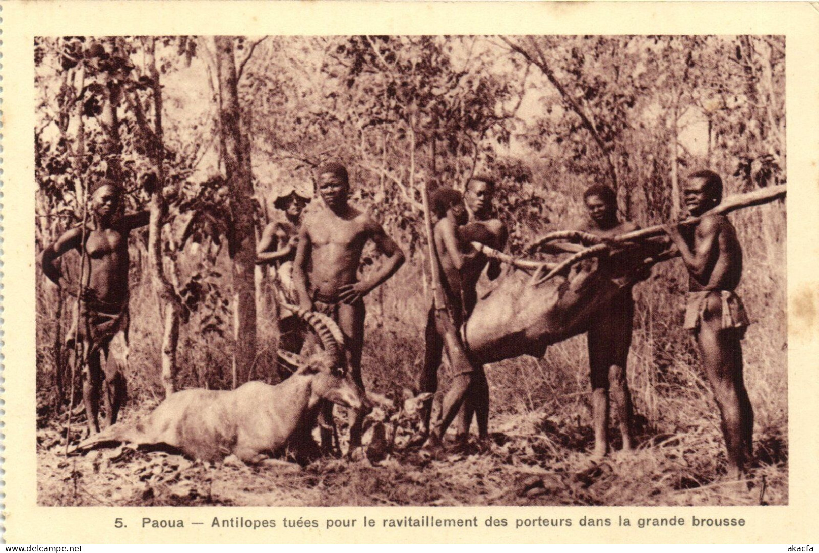 PC AFRICA PAOUA ANTILOPE TUÉES FRENCH EQUATORIAL AFRICA (a51560) - Centrafricaine (République)