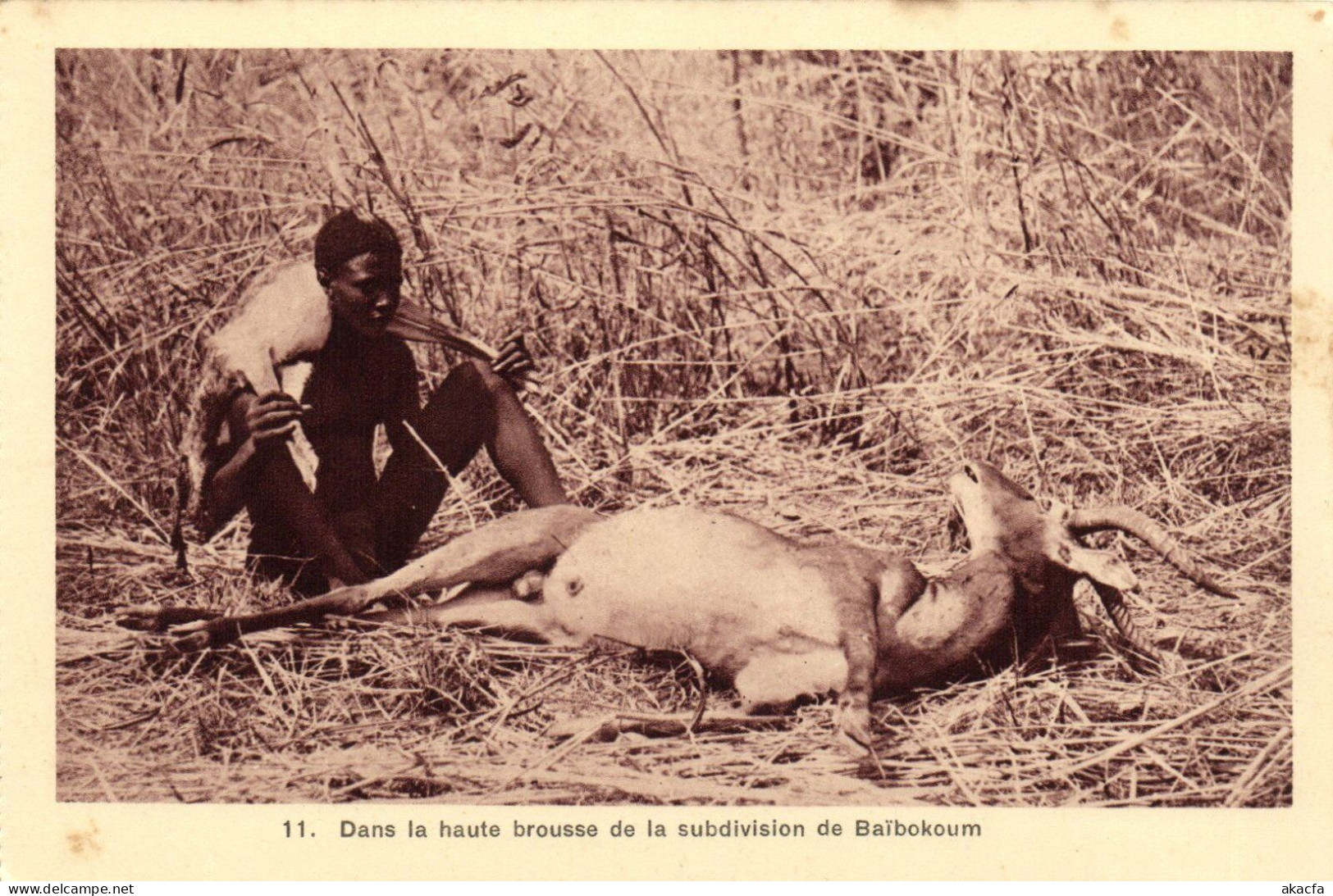 PC AFRICA BAIBOKOUM DANS LA HAUTE BROUSSE CHAD (a51566) - Tchad