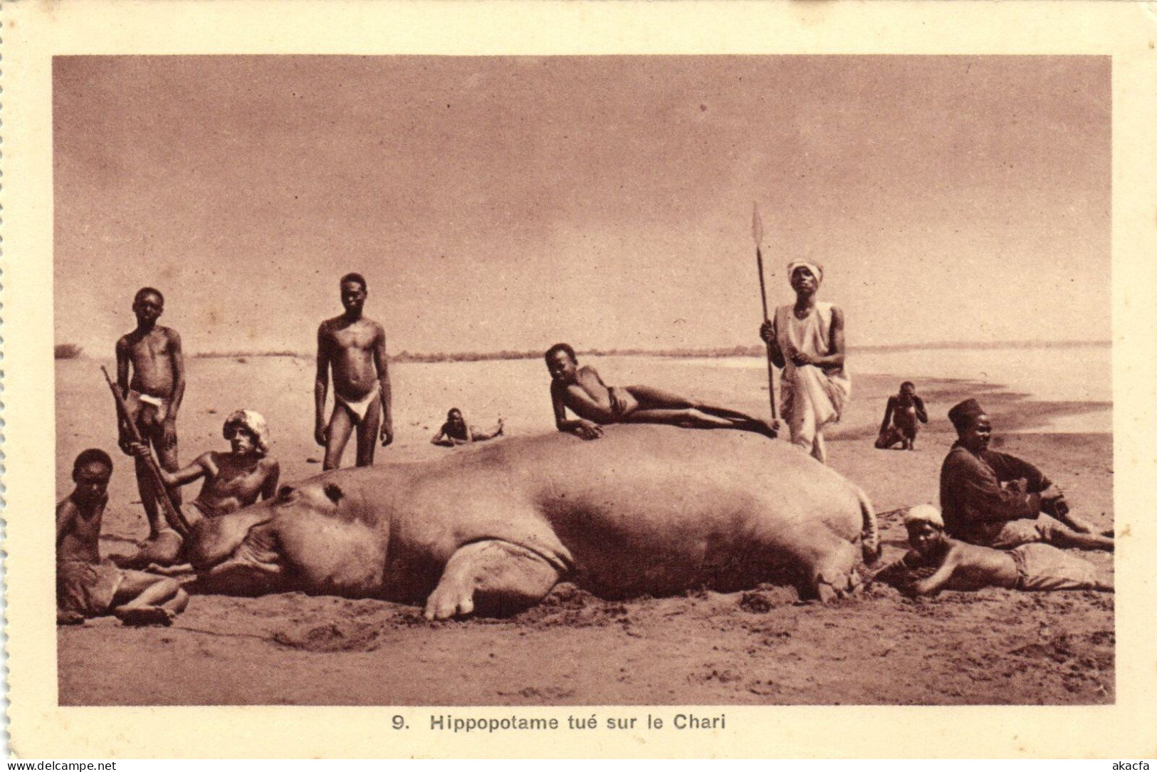 PC AFRICA HIPPOPOTAME TUÉ SUR LE CHARI CHAD (a51591) - Tchad