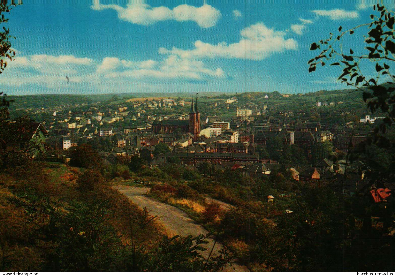 DUDELANGE - Vue Générale   Messageries Paul Kraus Nr 1301 - Düdelingen