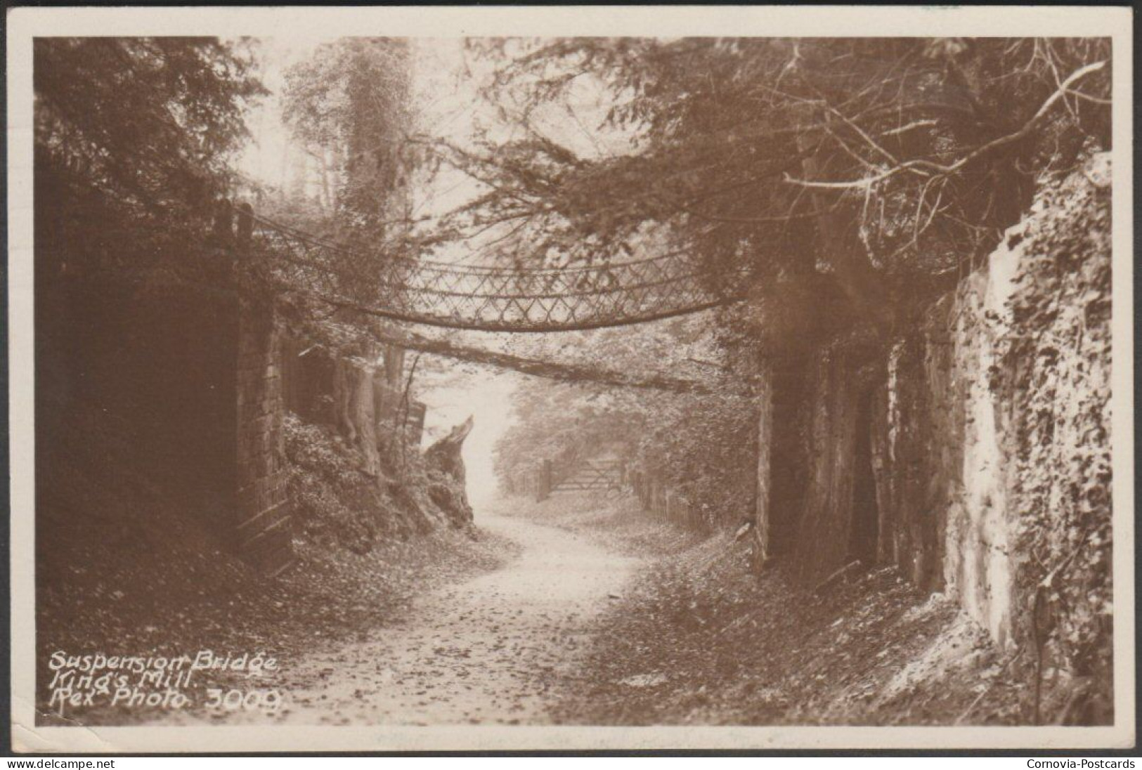 Suspension Bridge, King's Mill, Leicestershire, 1937 - Rex Photo RP Postcard - Sonstige & Ohne Zuordnung